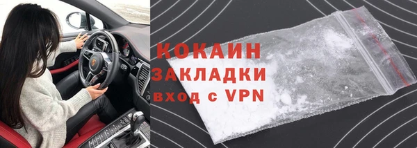 ГАЛЛЮЦИНОГЕННЫЕ ГРИБЫ Богданович