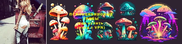 ГАЛЛЮЦИНОГЕННЫЕ ГРИБЫ Богданович