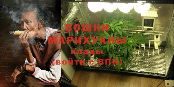 ГАЛЛЮЦИНОГЕННЫЕ ГРИБЫ Богданович