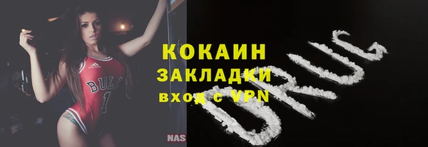 ГАЛЛЮЦИНОГЕННЫЕ ГРИБЫ Богданович