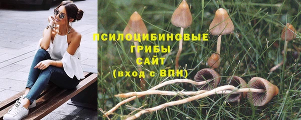 гидра Белокуриха