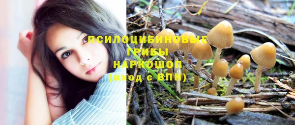 ГАЛЛЮЦИНОГЕННЫЕ ГРИБЫ Богданович