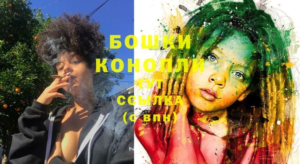 ГАЛЛЮЦИНОГЕННЫЕ ГРИБЫ Богданович