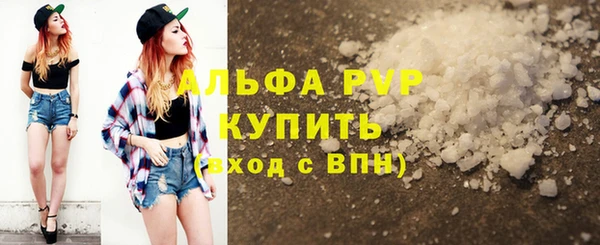 ГАЛЛЮЦИНОГЕННЫЕ ГРИБЫ Богданович