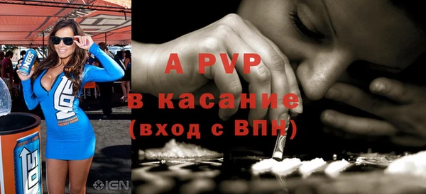 ГАЛЛЮЦИНОГЕННЫЕ ГРИБЫ Богданович